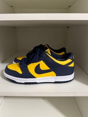 Nike Dunk Low Michigan